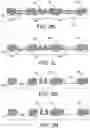 Fig. 06 - INTEGRATED CIRCUIT PACKAGE ASSEMBLIES WITH HIGH-ASPECT RATIO METALLIZATION FEATURES