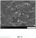 Fig. 22 - High density pixelated-LED chips and chip array devices