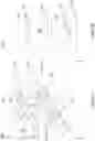 Fig. 02 - Semiconductor device