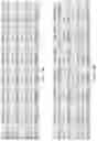 Fig. 42 - Ferroelectric memory device with select gate transistor and method of forming the same