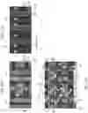 Fig. 19 - Ferroelectric memory device containing word lines and pass gates and method of forming the same