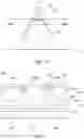 Fig. 03 - Image sensor