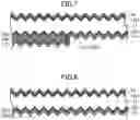Fig. 04 - Method for manufacturing solar cell