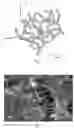 Fig. 02 - Thermoelectric Materials And Process For The Preparation Thereof