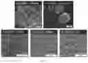 Fig. 06 - ADDITIVE-FREE MANUFACTURING OF GEOMETRICALLY COMPLEX COMPONENTS FOR ELECTRICAL ENERGY STORAGE SYSTEMS