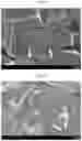 Fig. 06 - Negative electrode active material and negative electrode for solid state battery including the same