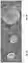 Fig. 04 - Zinc electrodes with high capacity utilizations