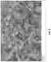 Fig. 08 - Zinc electrodes with high capacity utilizations