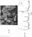 Fig. 03 - Core-shell electrochemically active particles with modified microstructure and use for secondary battery electrodes