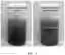 Fig. 02 - Method for manufacturing catalyst for fuel cell using blood of slaughtered livestock