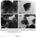 Fig. 04 - Method for manufacturing catalyst for fuel cell using blood of slaughtered livestock