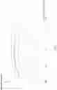 Fig. 16 - Phased array transceiver with built-in transmitter linearization feedback