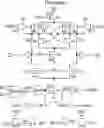 Fig. 01 - High-speed and low-noise dynamic comparator