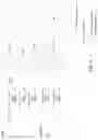 Fig. 07 - Multi-bitrate video with dynamic blocks