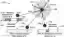 Fig. 01 - Allocation and directional information distribution in millimeter wave WLAN networks