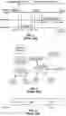 Fig. 02 - Allocation and directional information distribution in millimeter wave WLAN networks
