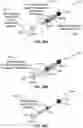 Fig. 19 - Allocation and directional information distribution in millimeter wave WLAN networks