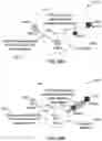 Fig. 20 - Allocation and directional information distribution in millimeter wave WLAN networks