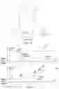 Fig. 44 - Beam super surge methods and apparatus for small geostationary (GEO) communication satellites