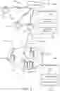 Fig. 02 - Paging for non-terrestrial networks