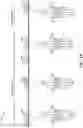 Fig. 20 - TIME DIVISION MULTIPLEXING OF SYNCHRONIZATION CHANNELS