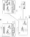 Fig. 02 - Enhancing a social media post with content that is relevant to the audience of the post