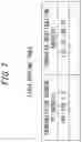 Fig. 08 - INFORMATION PROCESSING APPARATUS, METHOD AND PROGRAM