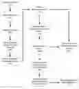 Fig. 01 - Intermediated retrieval of networked content