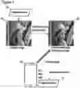 Fig. 02 - Method of embedding and extracting watermark data using a correction image comparison with a noise-based image in the frequency domain