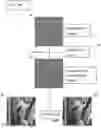 Fig. 05 - Method of embedding and extracting watermark data using a correction image comparison with a noise-based image in the frequency domain