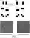 Fig. 06 - Method of embedding and extracting watermark data using a correction image comparison with a noise-based image in the frequency domain