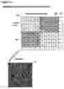 Fig. 16 - Method of embedding and extracting watermark data using a correction image comparison with a noise-based image in the frequency domain