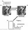 Fig. 01 - Method of extracting watermark data in an image with reference to a noise-based image located in the image based on a comparison process performed in the frequency domain