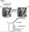 Fig. 02 - Method of extracting watermark data in an image with reference to a noise-based image located in the image based on a comparison process performed in the frequency domain