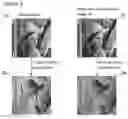 Fig. 03 - Method of extracting watermark data in an image with reference to a noise-based image located in the image based on a comparison process performed in the frequency domain