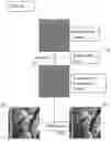 Fig. 05 - Method of extracting watermark data in an image with reference to a noise-based image located in the image based on a comparison process performed in the frequency domain