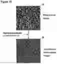Fig. 19 - Method of extracting watermark data in an image with reference to a noise-based image located in the image based on a comparison process performed in the frequency domain
