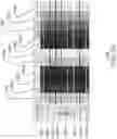 Fig. 08 - Encoding dot patterns into printed images based on source pixel color