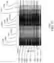 Fig. 10 - Encoding dot patterns into printed images based on source pixel color
