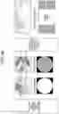 Fig. 07 - Imaging device, image processing system, and image processing method