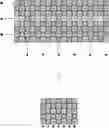 Fig. 01 - Imaging apparatus with phase difference detecting element
