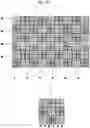 Fig. 09 - Imaging apparatus with phase difference detecting element