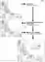 Fig. 01 - System and methods or augmenting surfaces within spaces with projected light