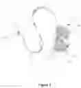 Fig. 04 - Holding device