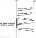Fig. 01 - Wireless device transmission timing