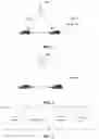Fig. 02 - Wireless communication method for sidelink resource scheduling, user equipment, and network device