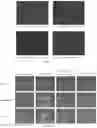 Fig. 03 - Pharmaceutical composition and application thereof