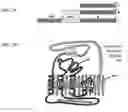 Fig. 02 - Multi-valent hepatitis B virus antigen binding molecules and uses thereof