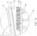 Fig. 05 - Muffler structure