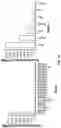 Fig. 12 - METHOD OF IDENTIFYING LAUNDRY MALODOR, MOLDY MALODOR AND/OR SWEAT MALODOR MODULATING COMPOUNDS